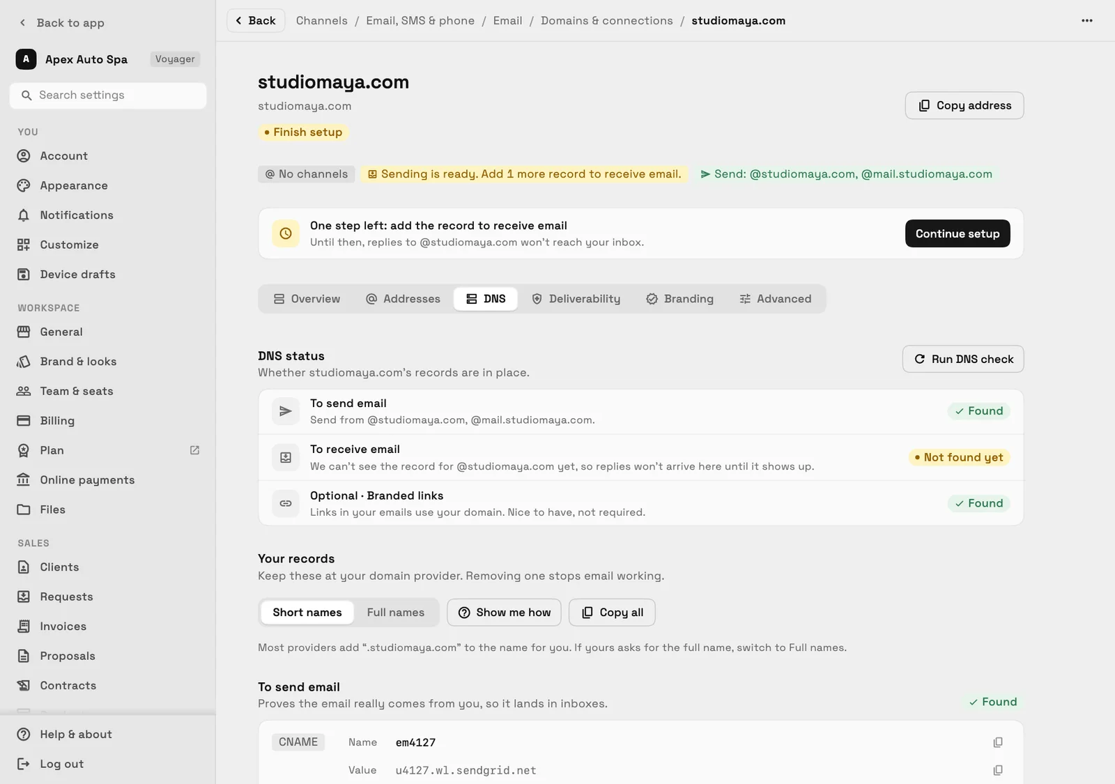 Setting up a custom email domain: sending is ready, one record is left to receive email, and each DNS record shows whether it was found.